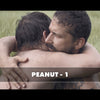 Shia LaBeouf Autograph Pre-Order