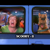 Matthew Lillard Autograph Pre-Order