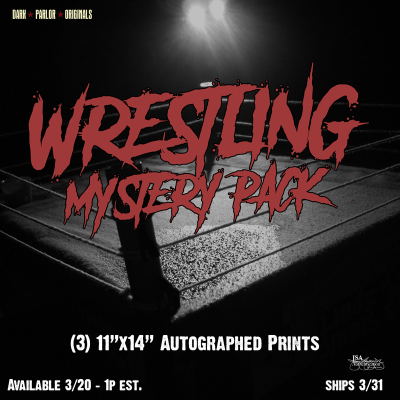Wrestling Mystery Pack